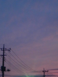 (untitled)